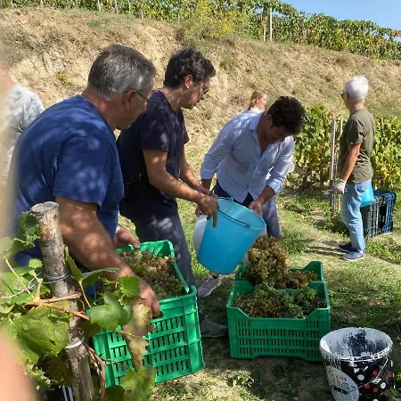 Slow Holidays In Calabria Tradizioni Eno-gastonomia Tra Borgo E Mare Apartment *