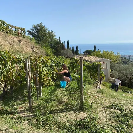 Slow Holidays In Calabria Tradizioni Eno-gastonomia Tra Borgo E Mare Badolato Marina