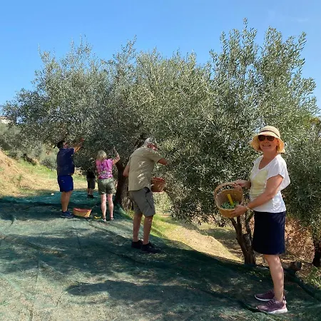 Slow Holidays In Calabria Tradizioni Eno-gastonomia Tra Borgo E Mare * Badolato Marina