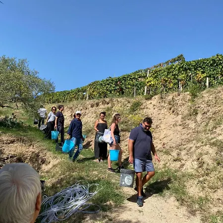 Slow Holidays In Calabria Tradizioni Eno-gastonomia Tra Borgo E Mare Apartment Badolato Marina
