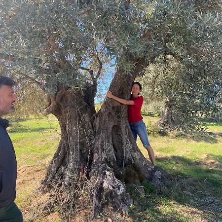 Slow Holidays In Calabria Tradizioni Eno-gastonomia Tra Borgo E Mare *