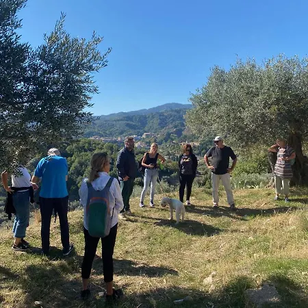 Apartment Slow Holidays In Calabria Tradizioni Eno-gastonomia Tra Borgo E Mare
