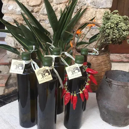 Apartment Slow Holidays In Calabria Tradizioni Eno-gastonomia Tra Borgo E Mare *